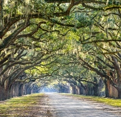 Bainbridge, Georgia