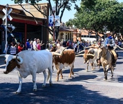Fort Worth, Texas